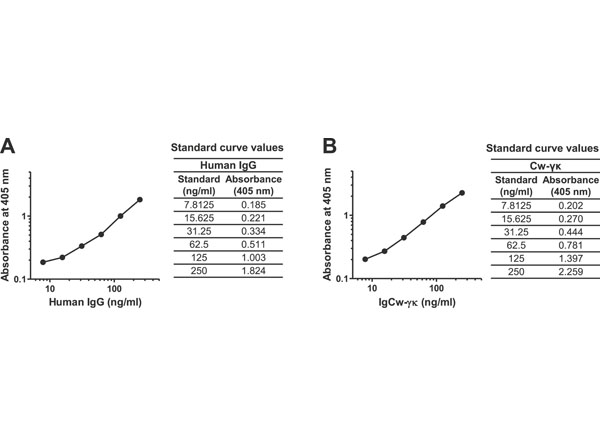 IHC - RSL1D1 Rabbit pAb AP93974